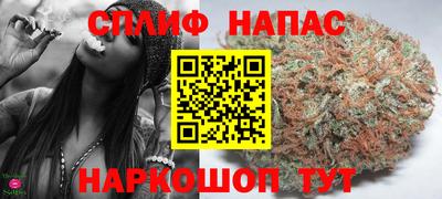 jwh Можга