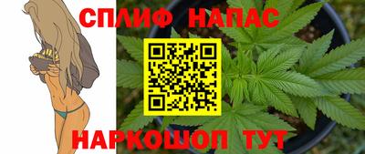 jwh Можга