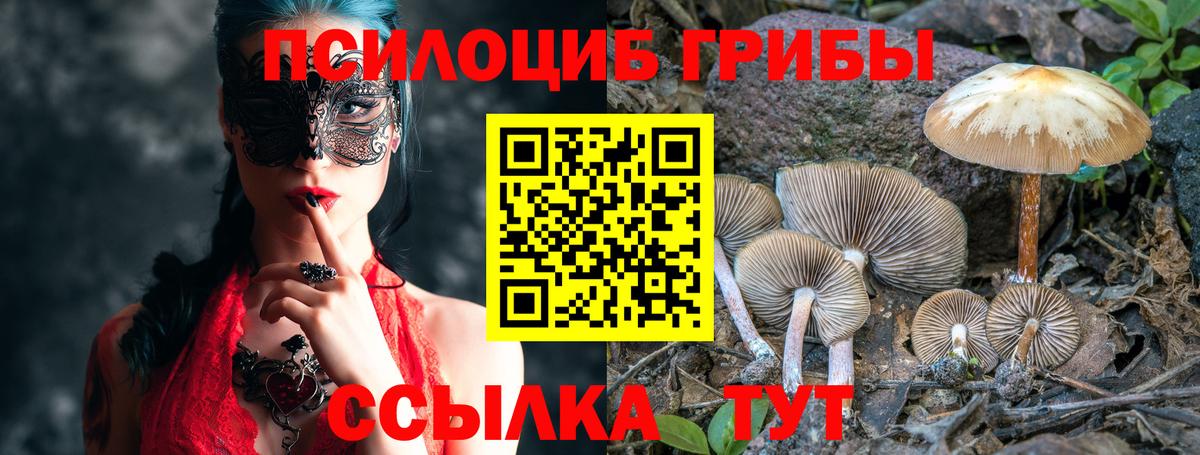 Псилоцибиновые грибы мухоморы Реж